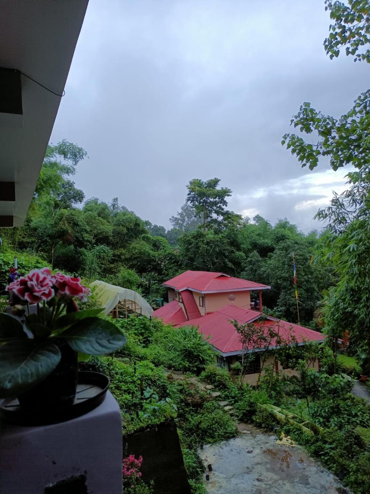 Tenam Garden Homestay Kalimpong Exteriör bild