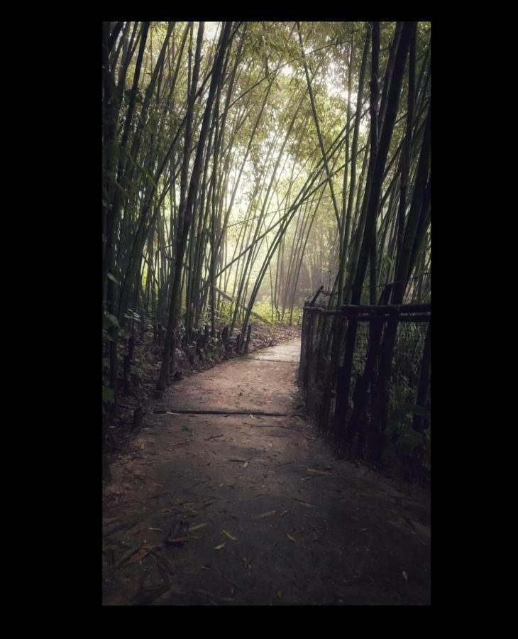 Tenam Garden Homestay Kalimpong Exteriör bild